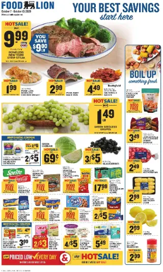 Food Lion Weekly Ad cover