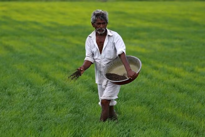 Sowing Sustainabile Seeds: Green Livelihoods